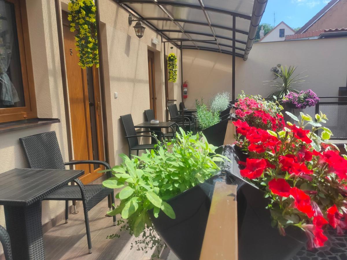 Apartmany Aranka Žatec Exteriör bild